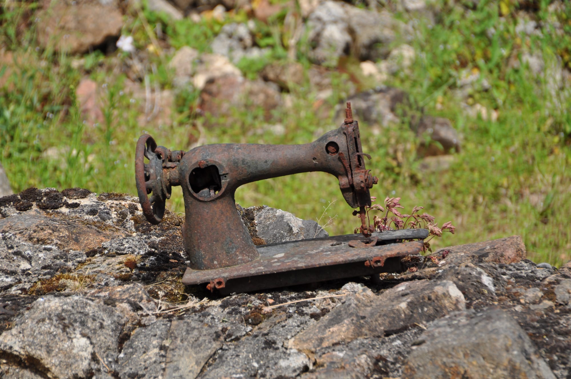 Sewing Machines
